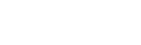 Bluewing Logo